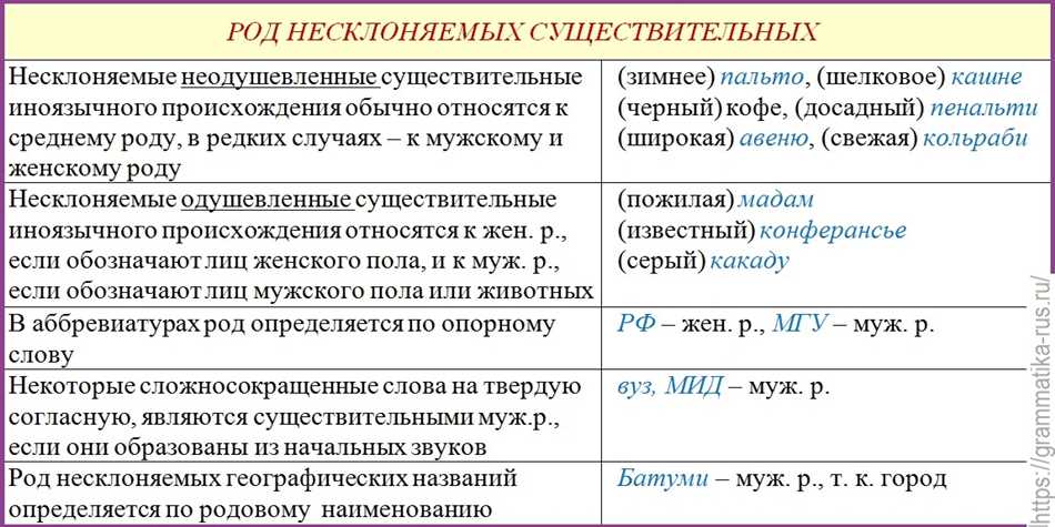Преобладание мужского рода в русском языке