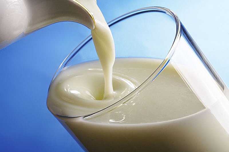 Почему у коровы желтое молоко
