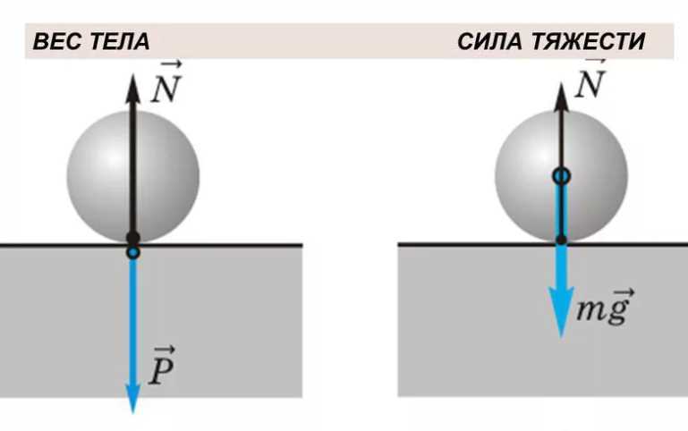 Почему вес тела равен силе тяжести