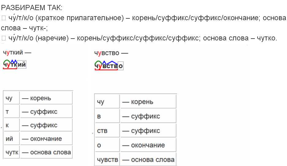 Правильное расположение корня в слове: как не запутаться