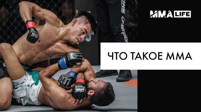 Лучшие бойцы ММА и UFC