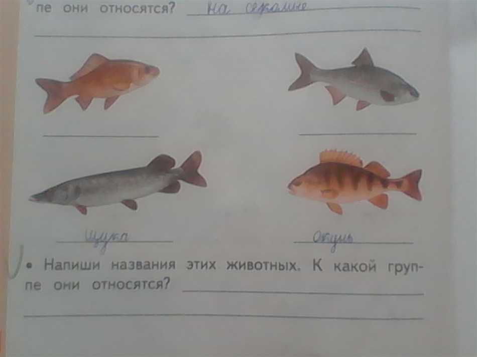 Разнообразие форм и видов рыб