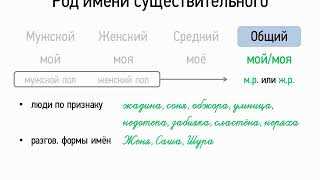 Род слова Тбилиси: мужской, женский или средний?