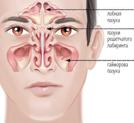 Как происходит процедура санации полости носа?