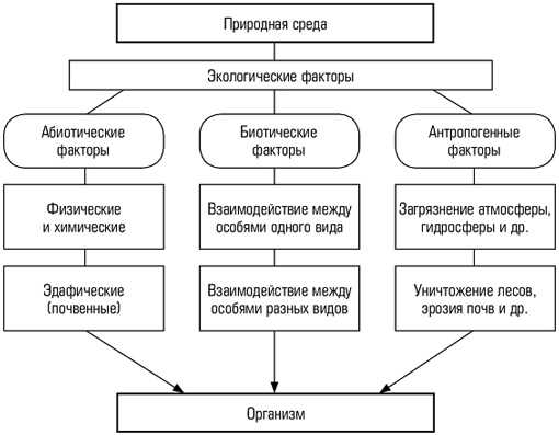 Роль сапрофитной микрофлоры в окружающей среде