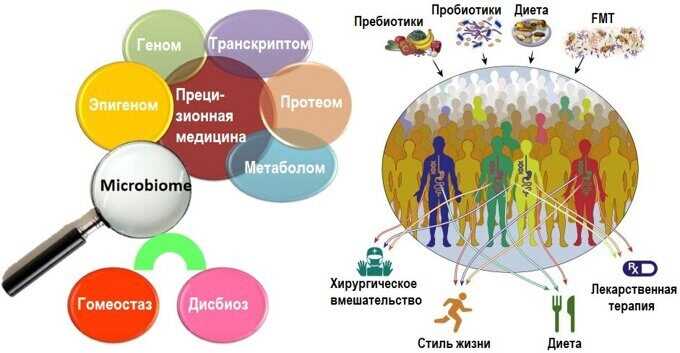 Сапрофитная микрофлора: что это такое и как она влияет на окружающую среду?