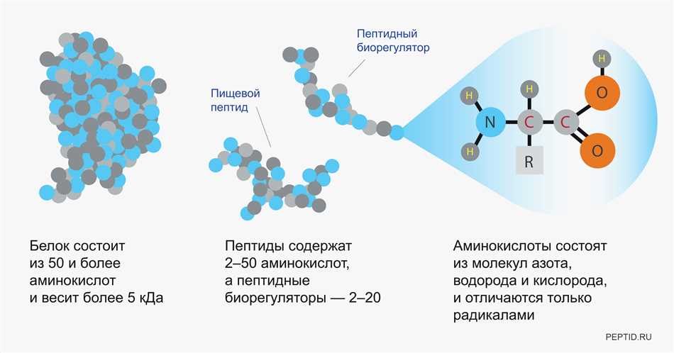 Синтезирование: что это значит и как это работает?