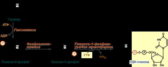 Синтезирование: что это значит и как это работает?