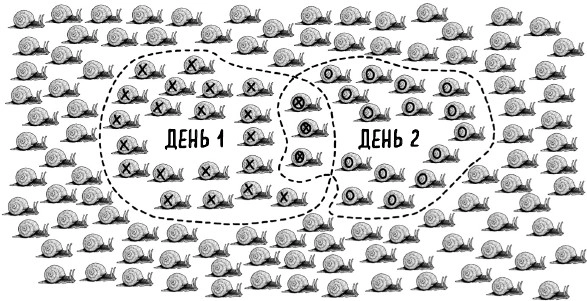 Современное понятие систенции