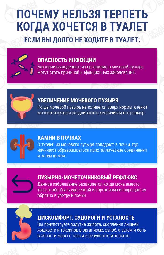 Сколько дней опасно не ходить в туалет по большому?