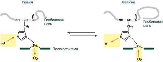 Определение сродства с кислородом