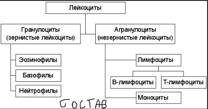 Принципы взаимодействия молекул с кислородом