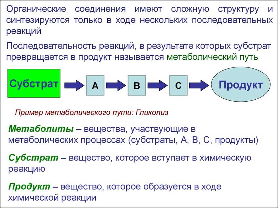 Функции субстратов в биохимии: