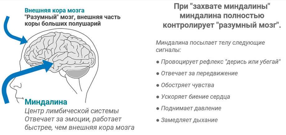 Значение и использование термина 