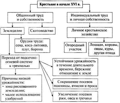 Трехполье в истории: понятие, значение и особенности