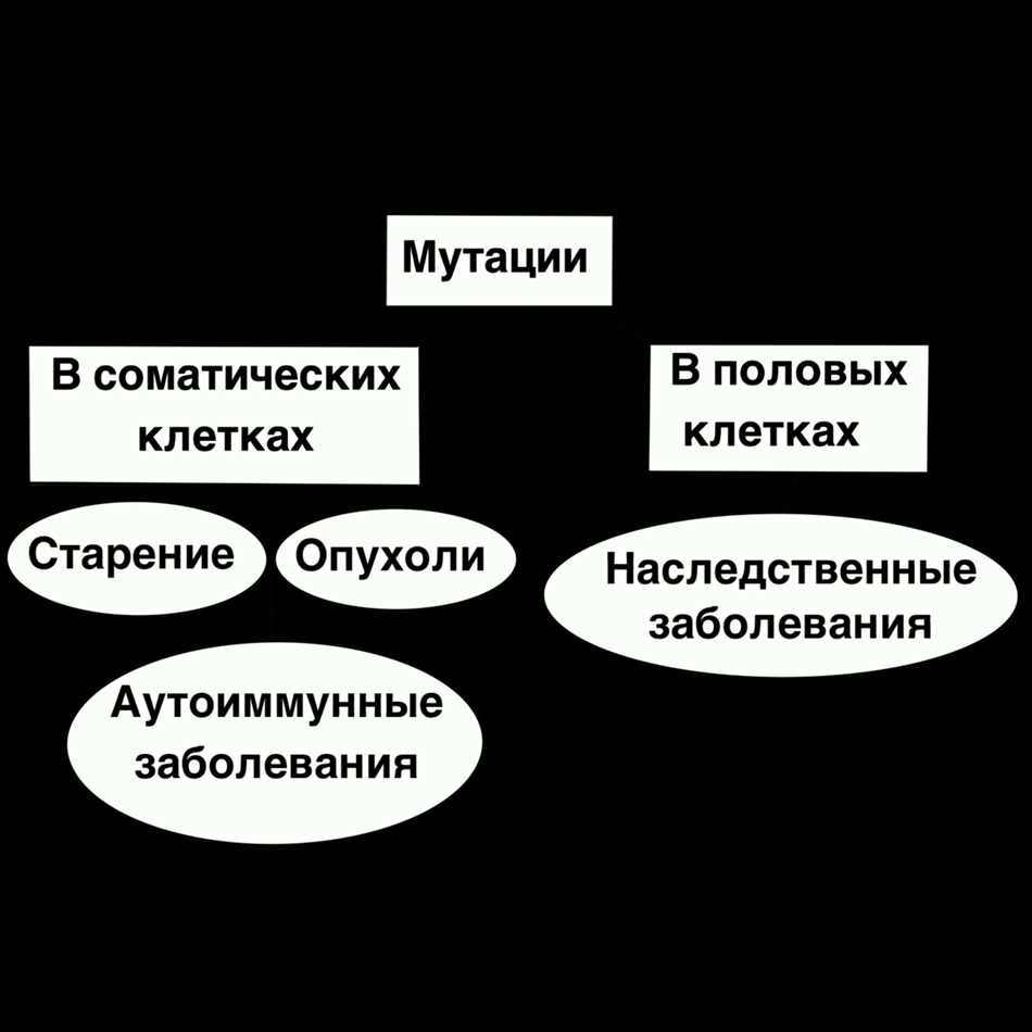 Преимущества цитоплазматической наследственности: