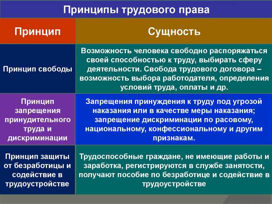 Занятость: суть и принципы