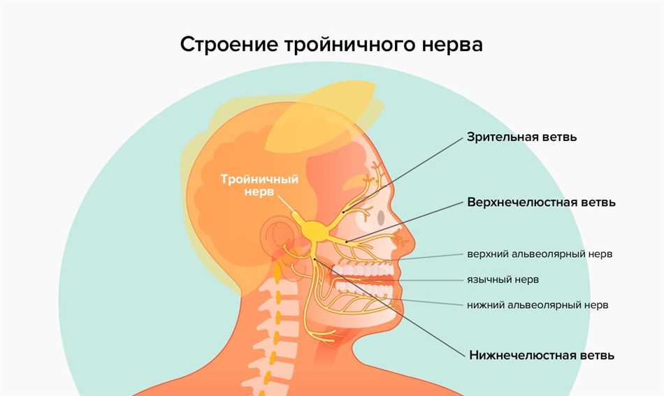 История пациента