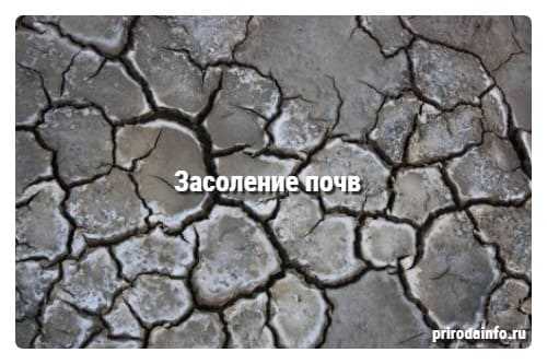 5. Рациональное использование водных ресурсов