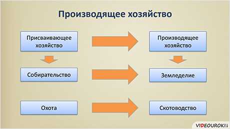 Земледелие первобытных людей: основы и характеристики