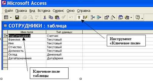 Роль ключевого поля в информационных системах