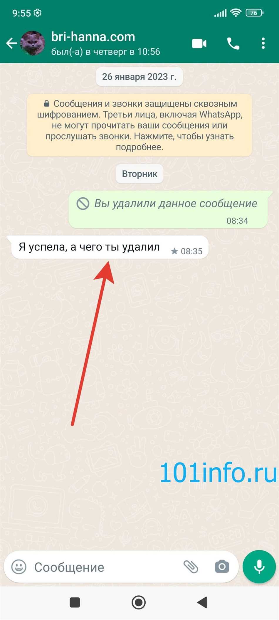 Звездочка в WhatsApp: как использовать и что означает