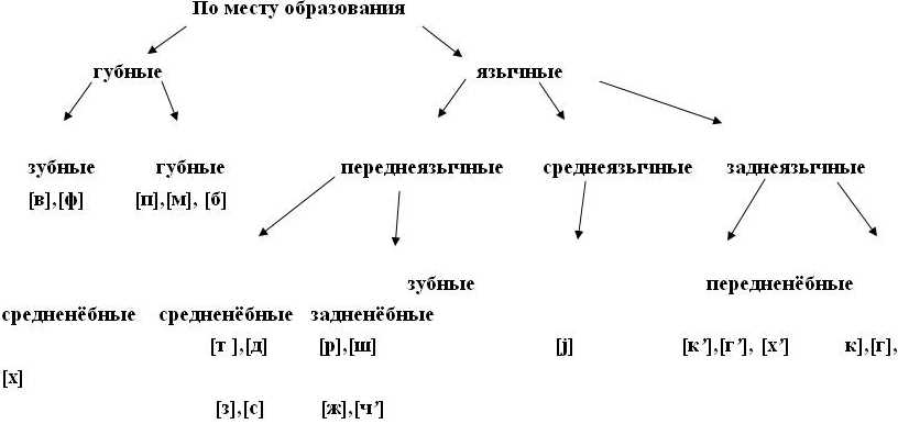 Звук в русском языке: определение и особенности